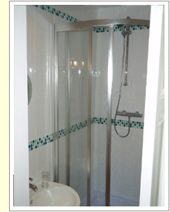 Ensuite Shower